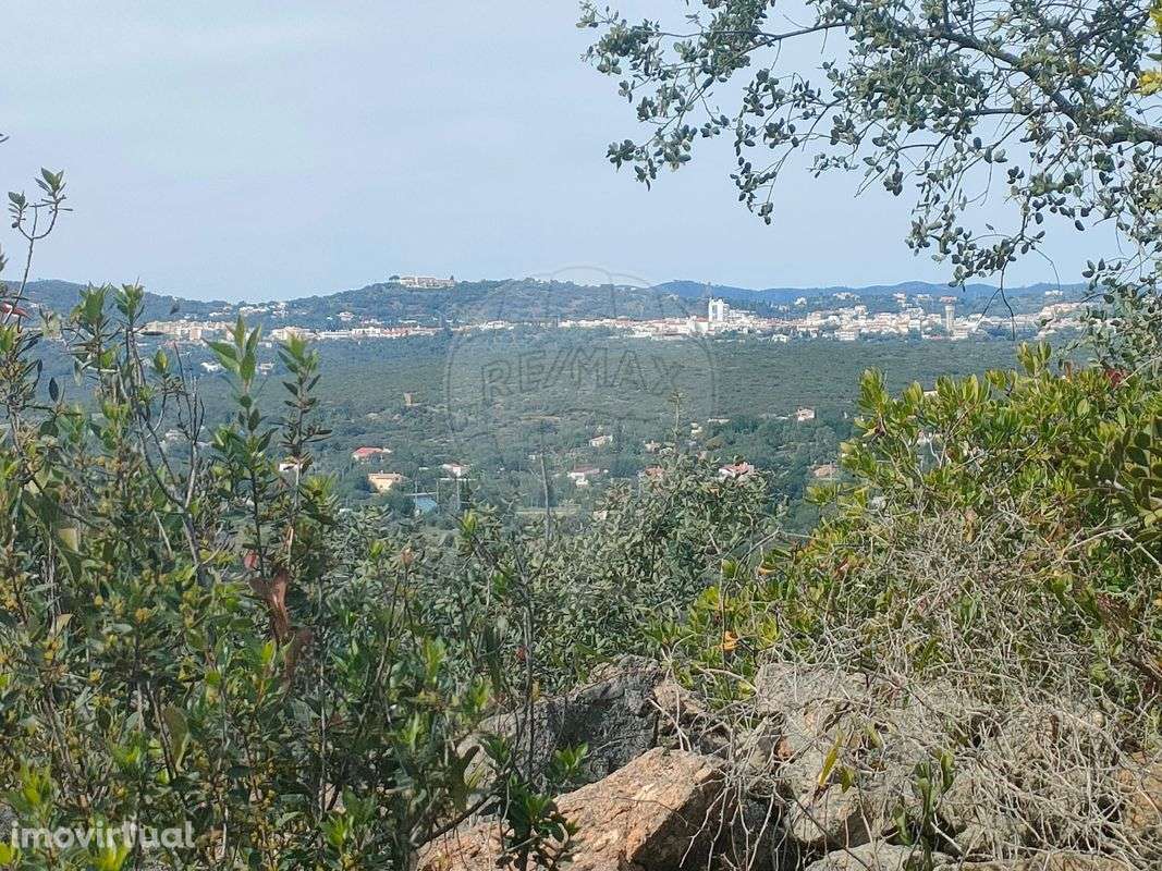 Terreno  para venda - Grande imagem: 3/9