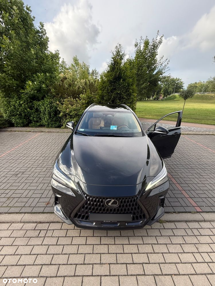 Lexus NX 350h Omotenashi AWD - 2