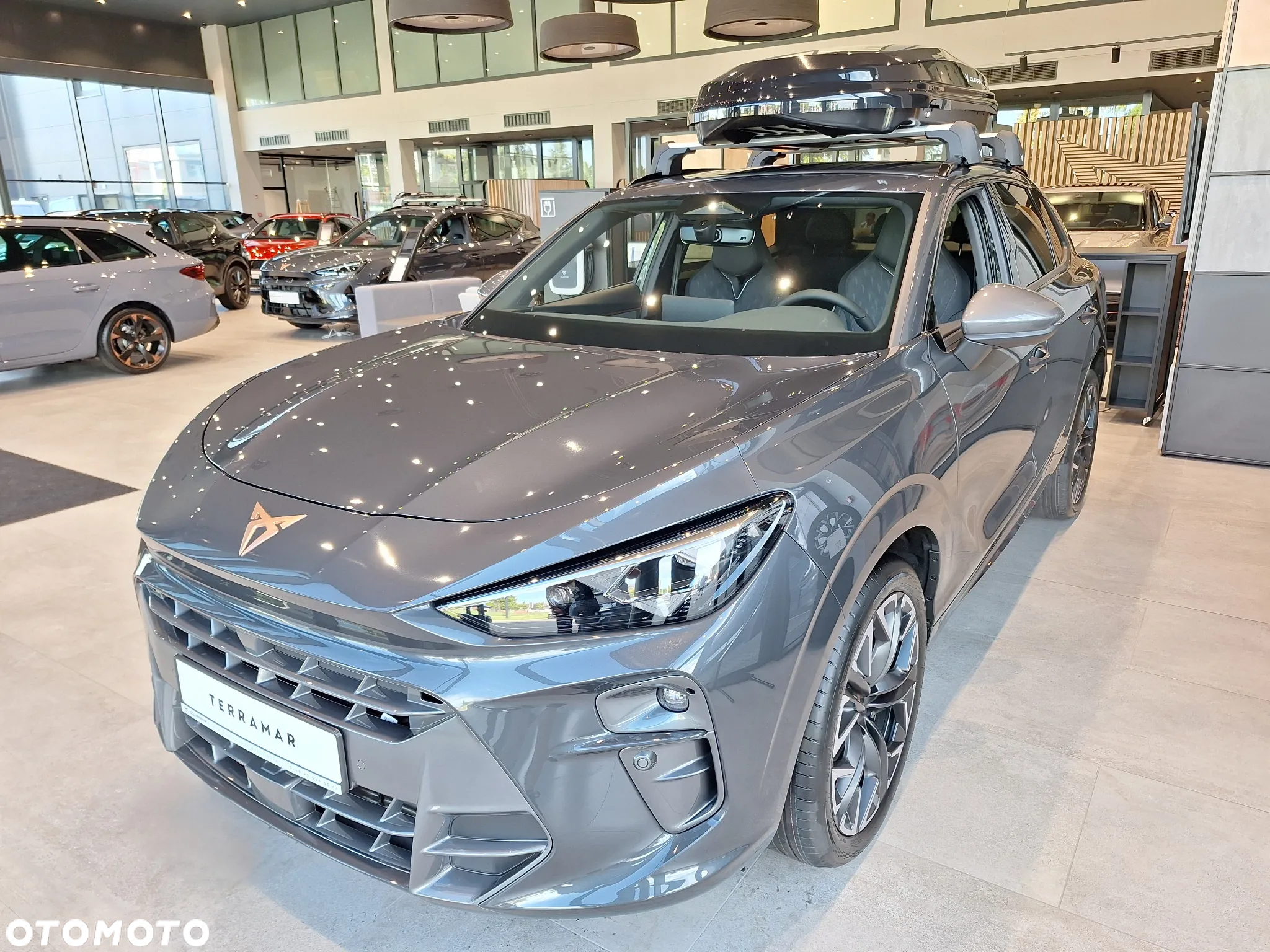 Cupra Terramar 2.0 TSI 4Drive Advantage Edition DSG - 2