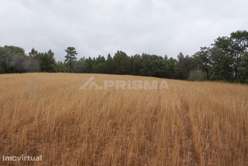 Terreno agrícola para venda - Grande imagem: 4/6