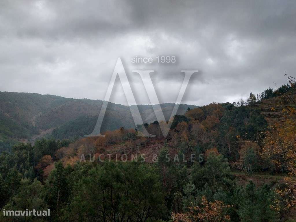 Terreno rústico - Terra Nova, Área de Gondramaz - VILA NOVA - MIRAN... - Grande imagem: 4/5