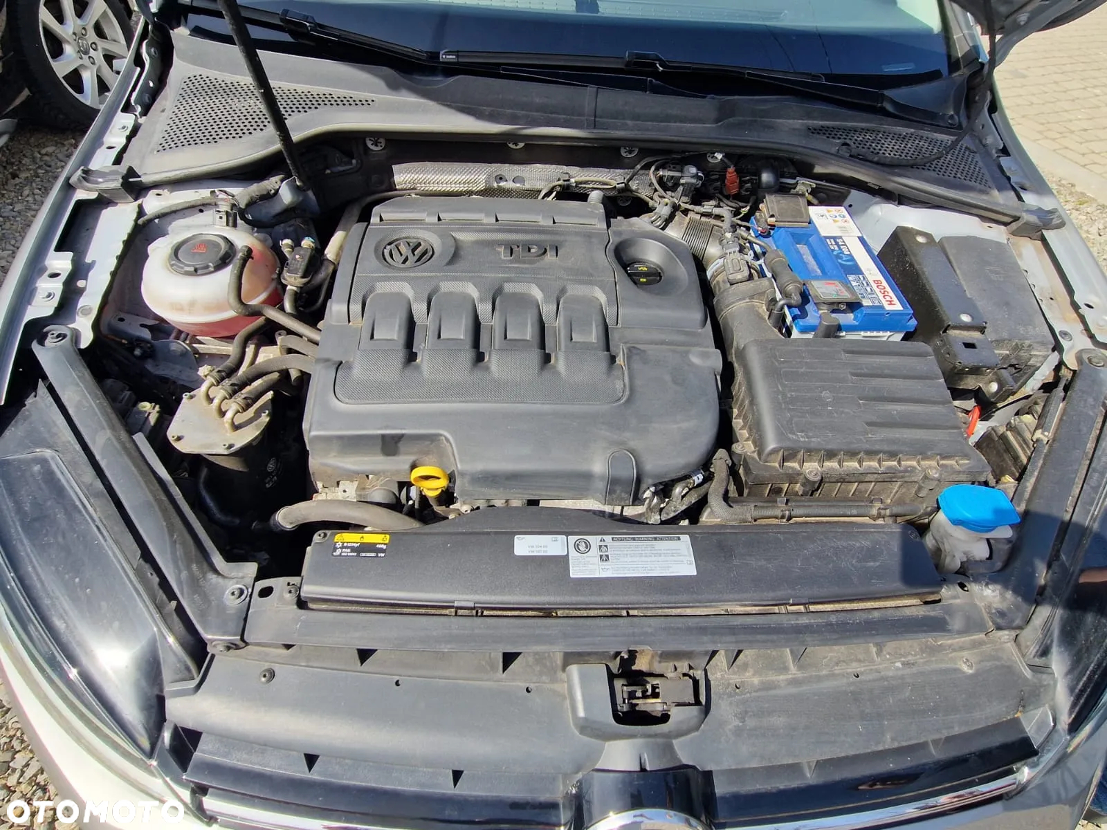 Volkswagen Golf - 8