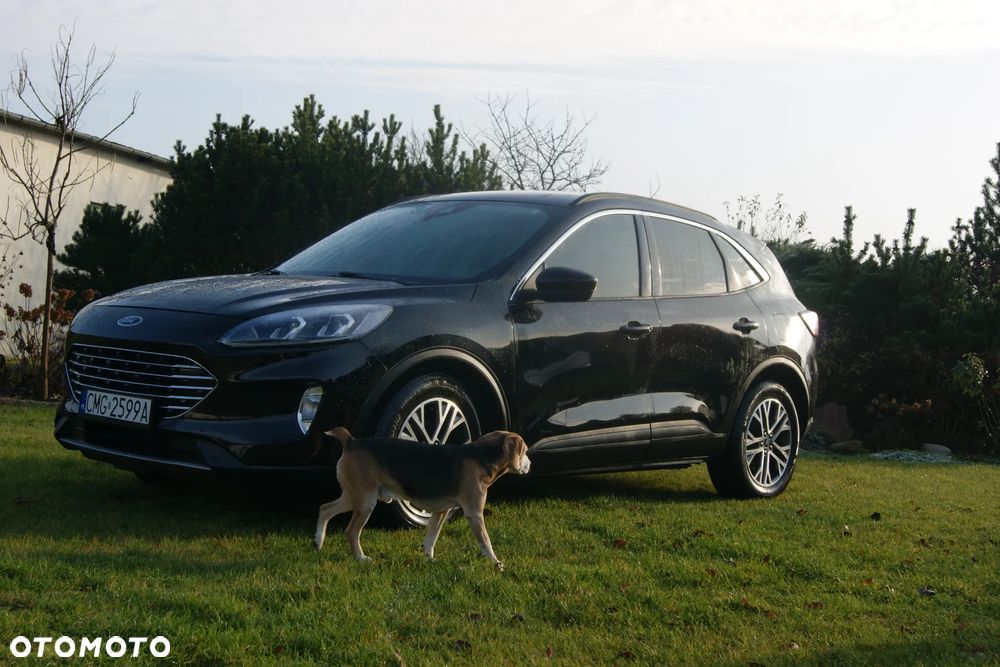Ford Escape 1.5 EcoBoost AWD SE - 6