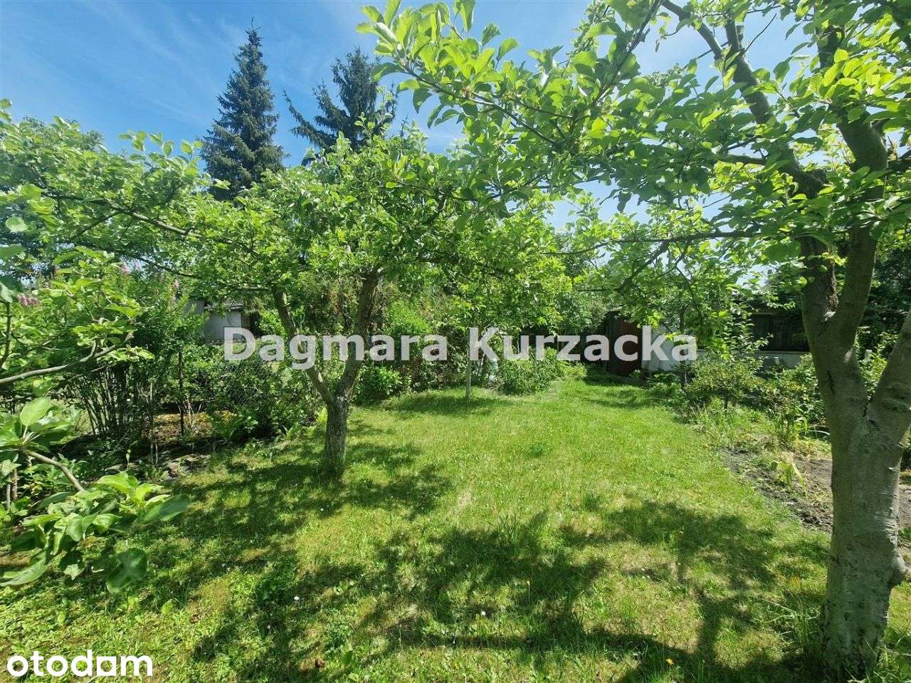 Ogródek Działkowy Zabrze "Nasza Palma" - Pełny obrazek: 3/13