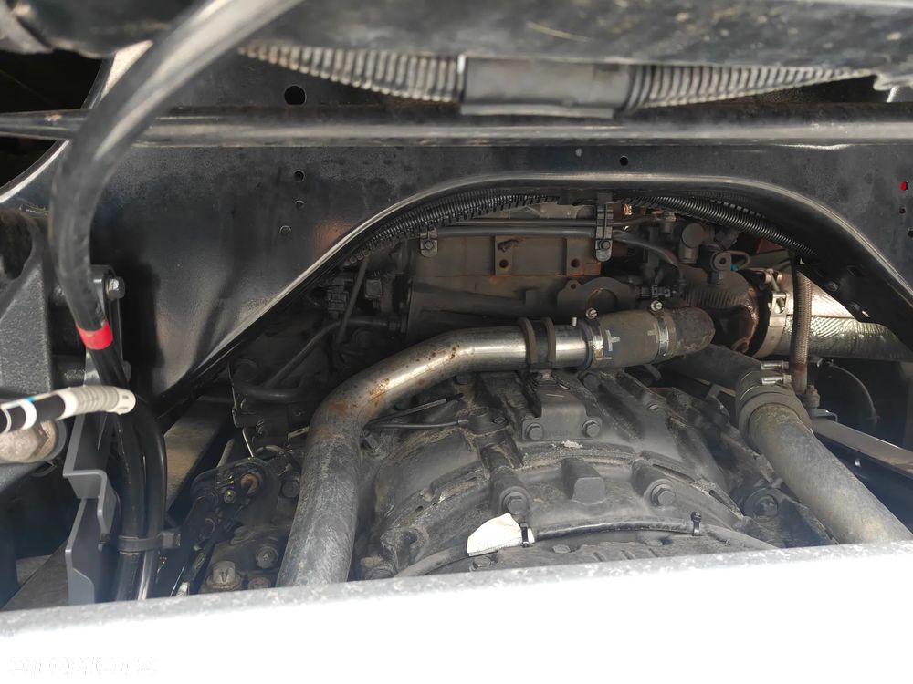 DAF XG+ PLUS 480 FT - 29