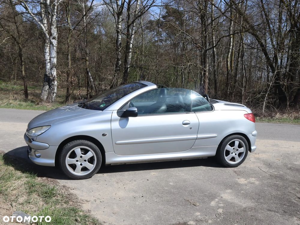 Peugeot 206 135 Sport - 31