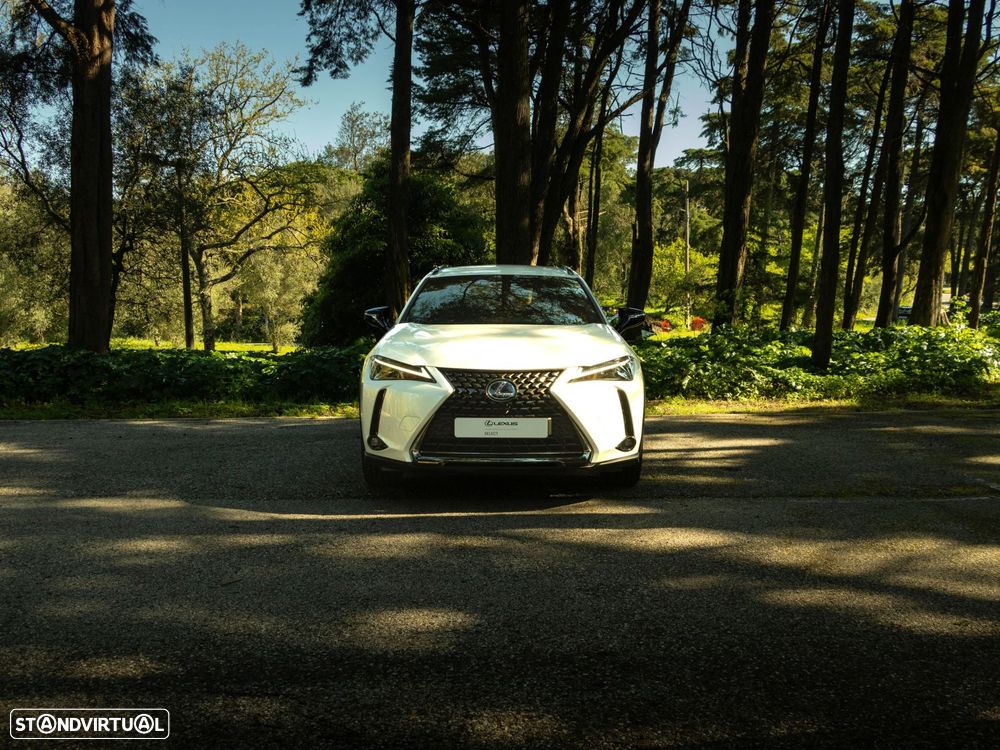 Lexus UX 250h Special Edition (LCA) - 5