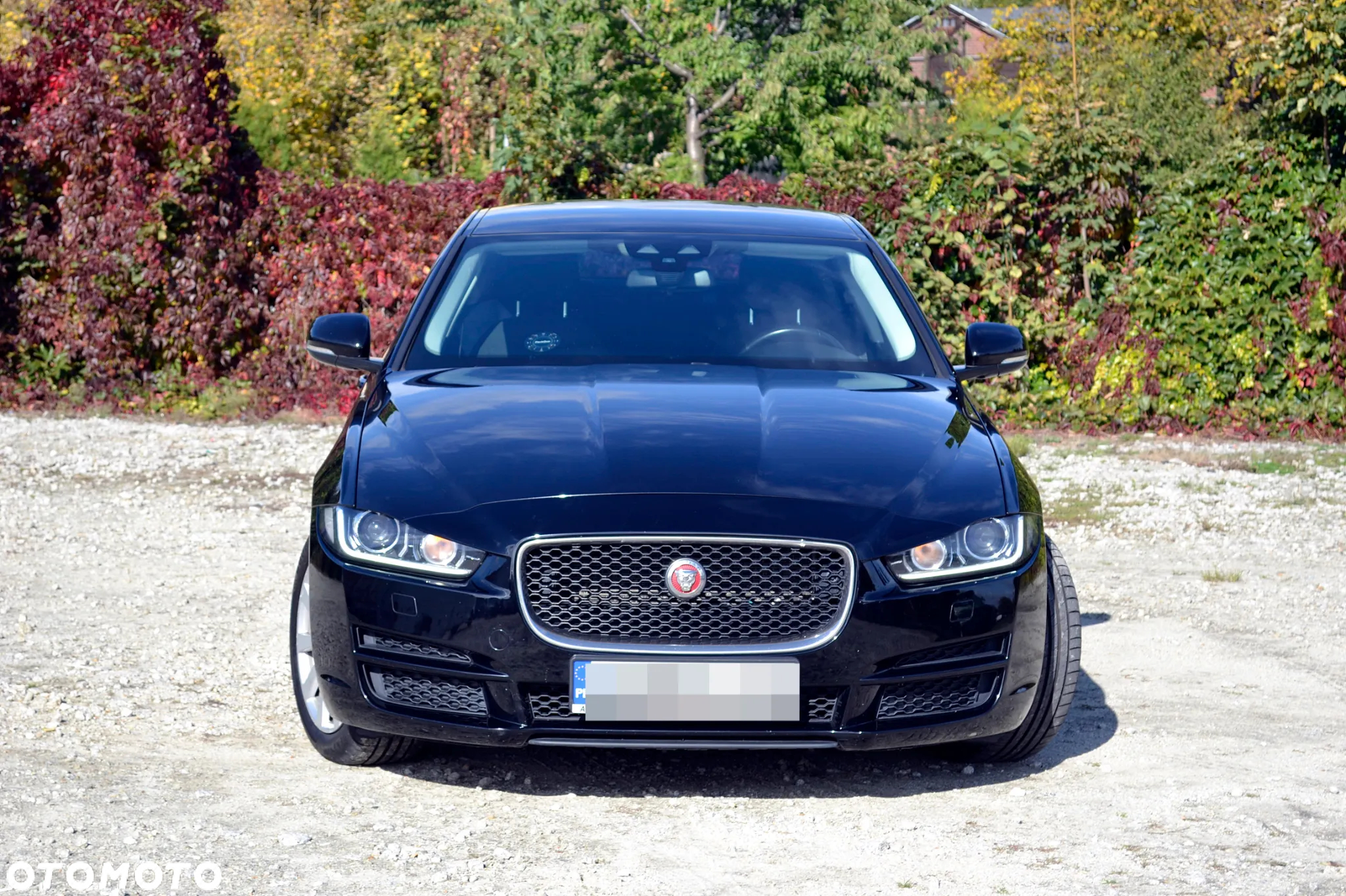 Jaguar XE - 4