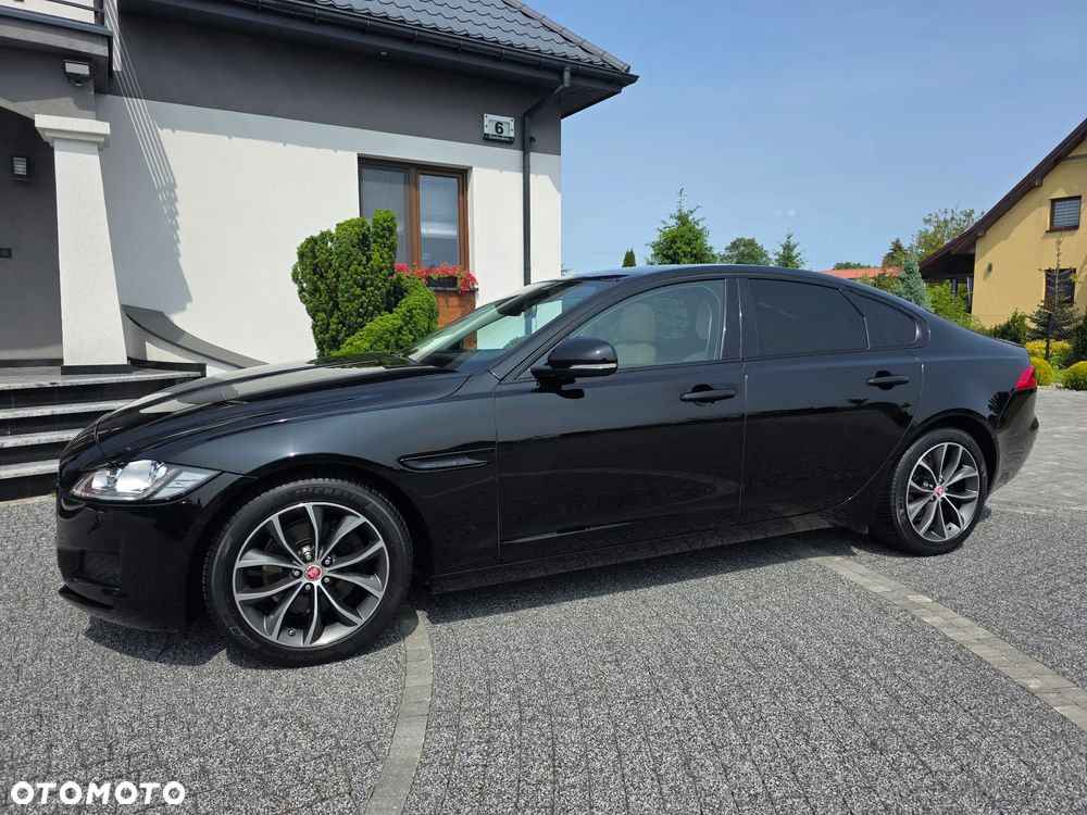 Jaguar XF - 10