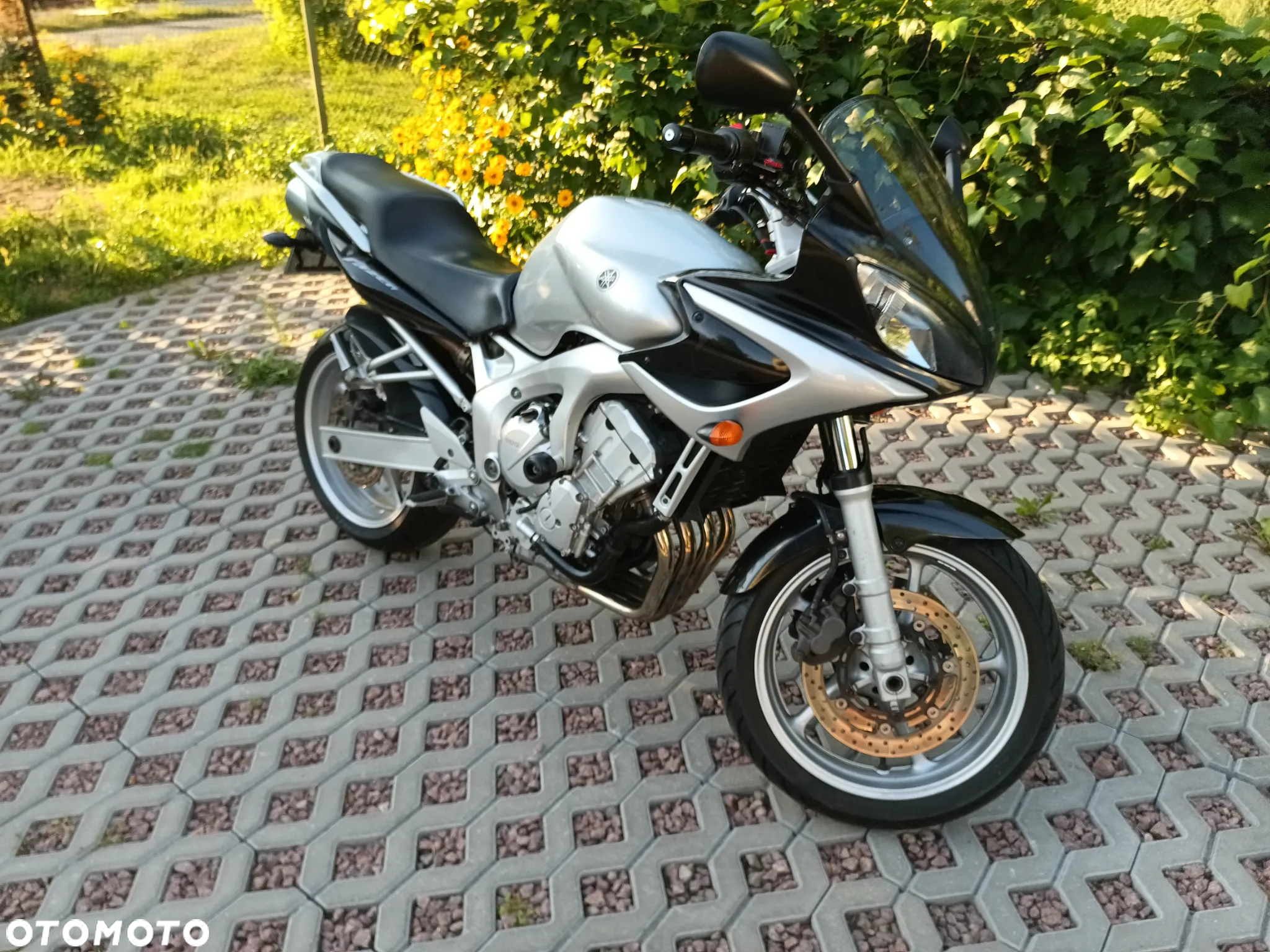 Yamaha FZ6 - 7