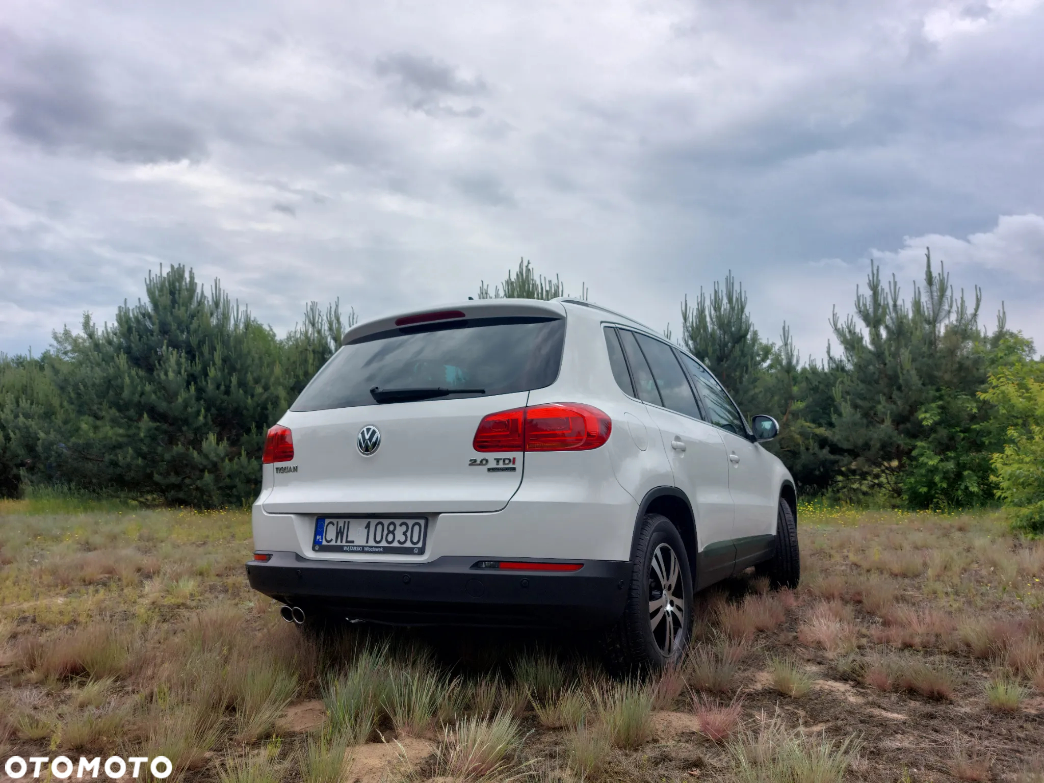 Volkswagen Tiguan 2.0 TDI 4Mot Sport&Style DSG - 5
