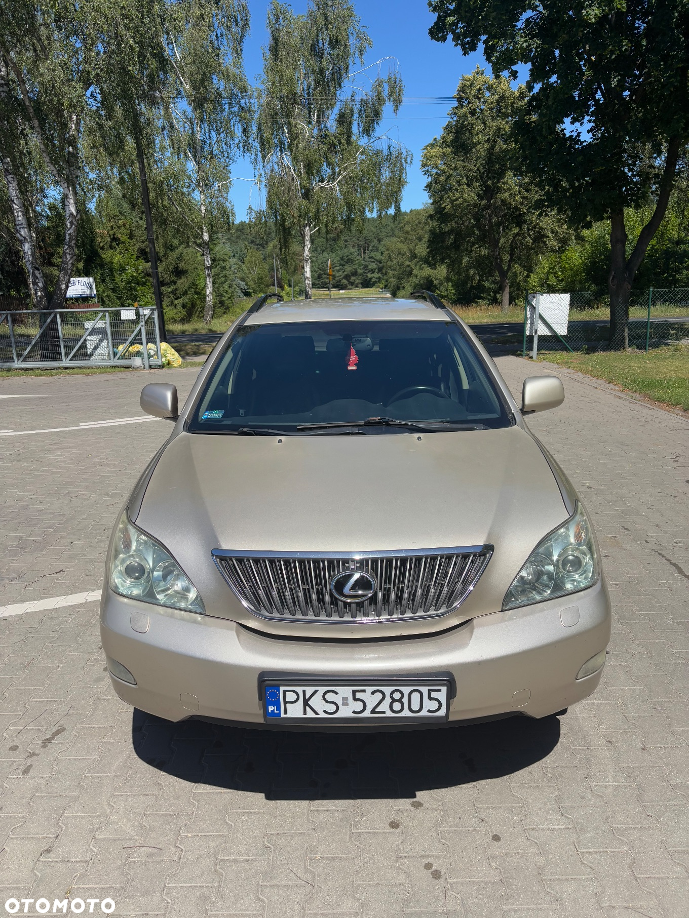 Lexus RX - 3