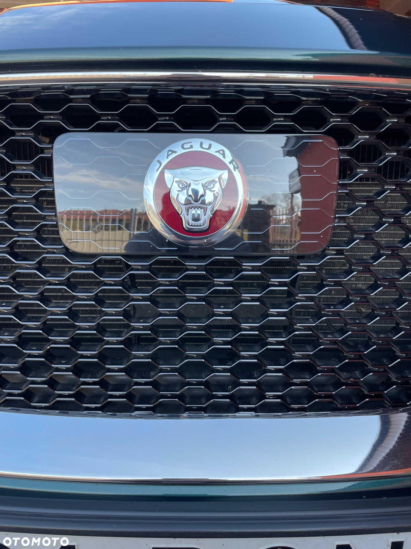 Jaguar F-Pace 2.0 i4D AWD R-Sport - 19