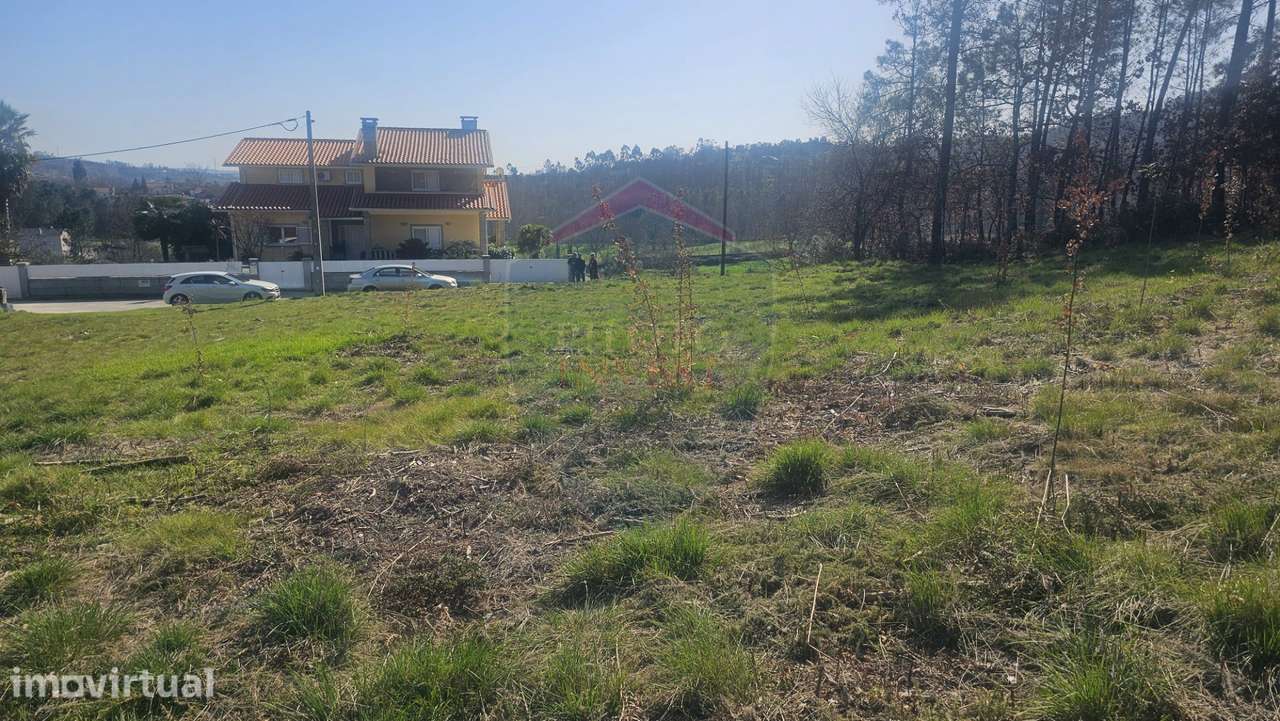 Terreno  Venda em Mamouros, Alva e Ribolhos,Castro Daire - Grande imagem: 5/9
