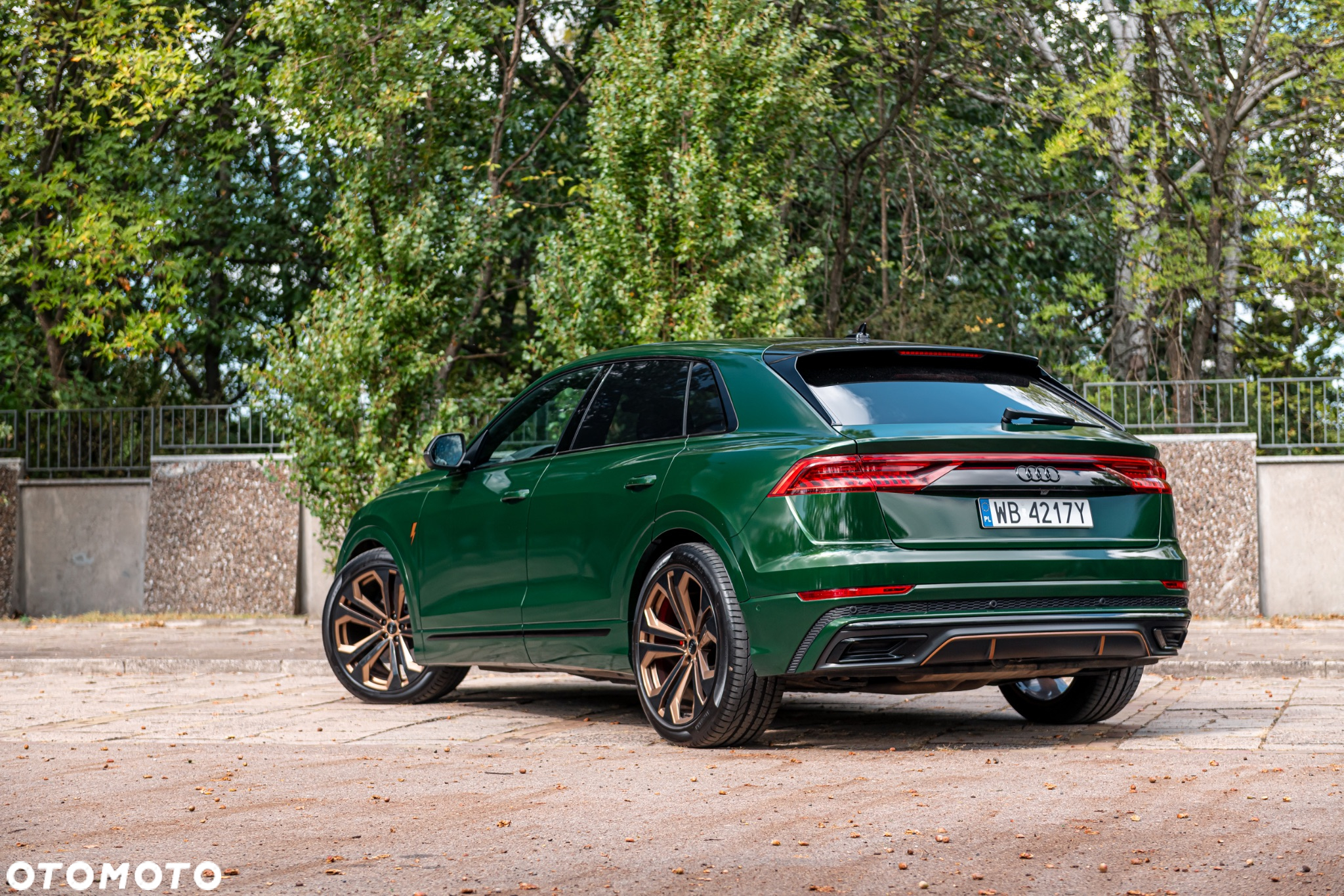 Audi Q8 - 13
