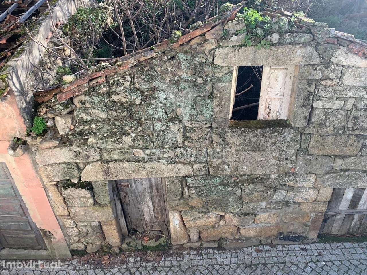 RUINA - Douro Vinhateiro ( Alijó ) - Grande imagem: 2/5