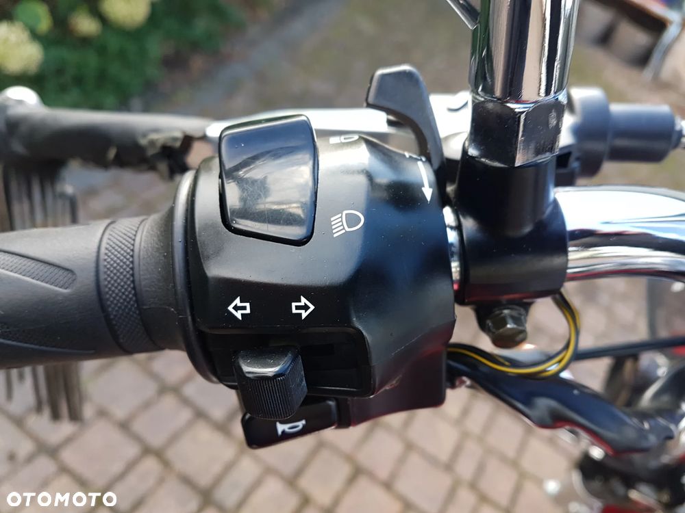 Suzuki Intruder - 16