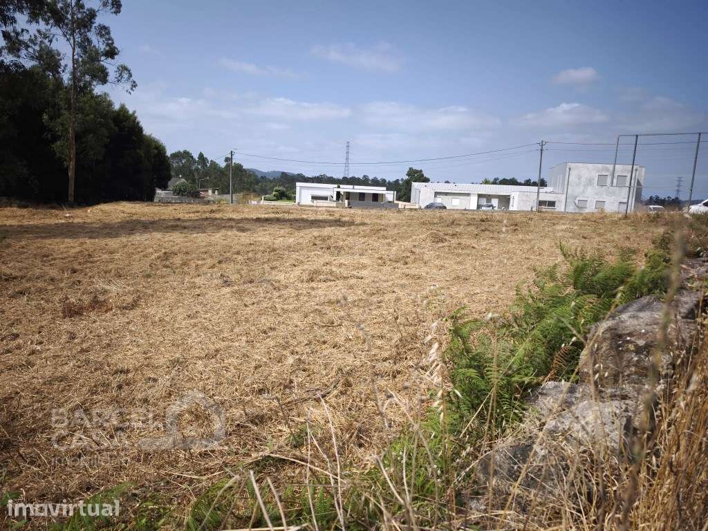 Terreno de construção junto à estrada nacional em Negreiros - Barcelos - Grande imagem: 2/9