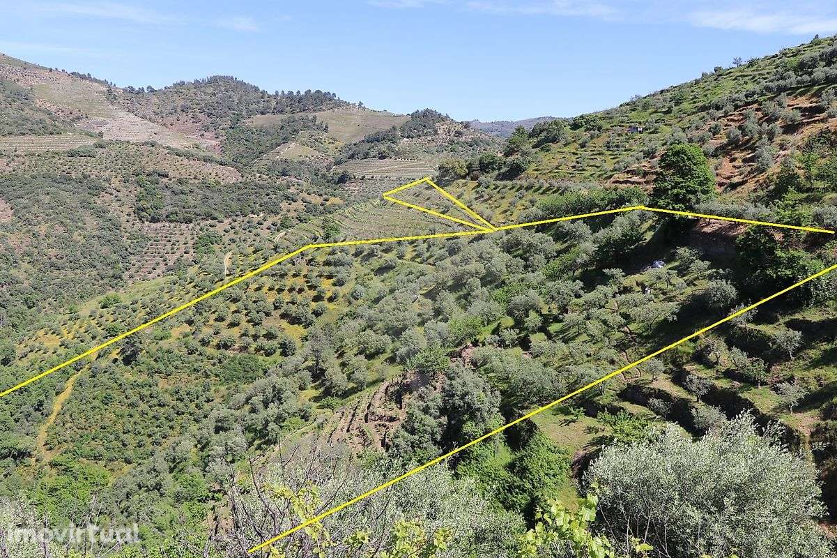 Terreno  para venda - Grande imagem: 2/17