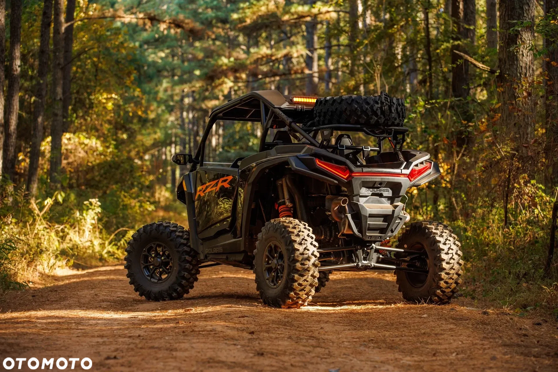 Polaris RZR - 9