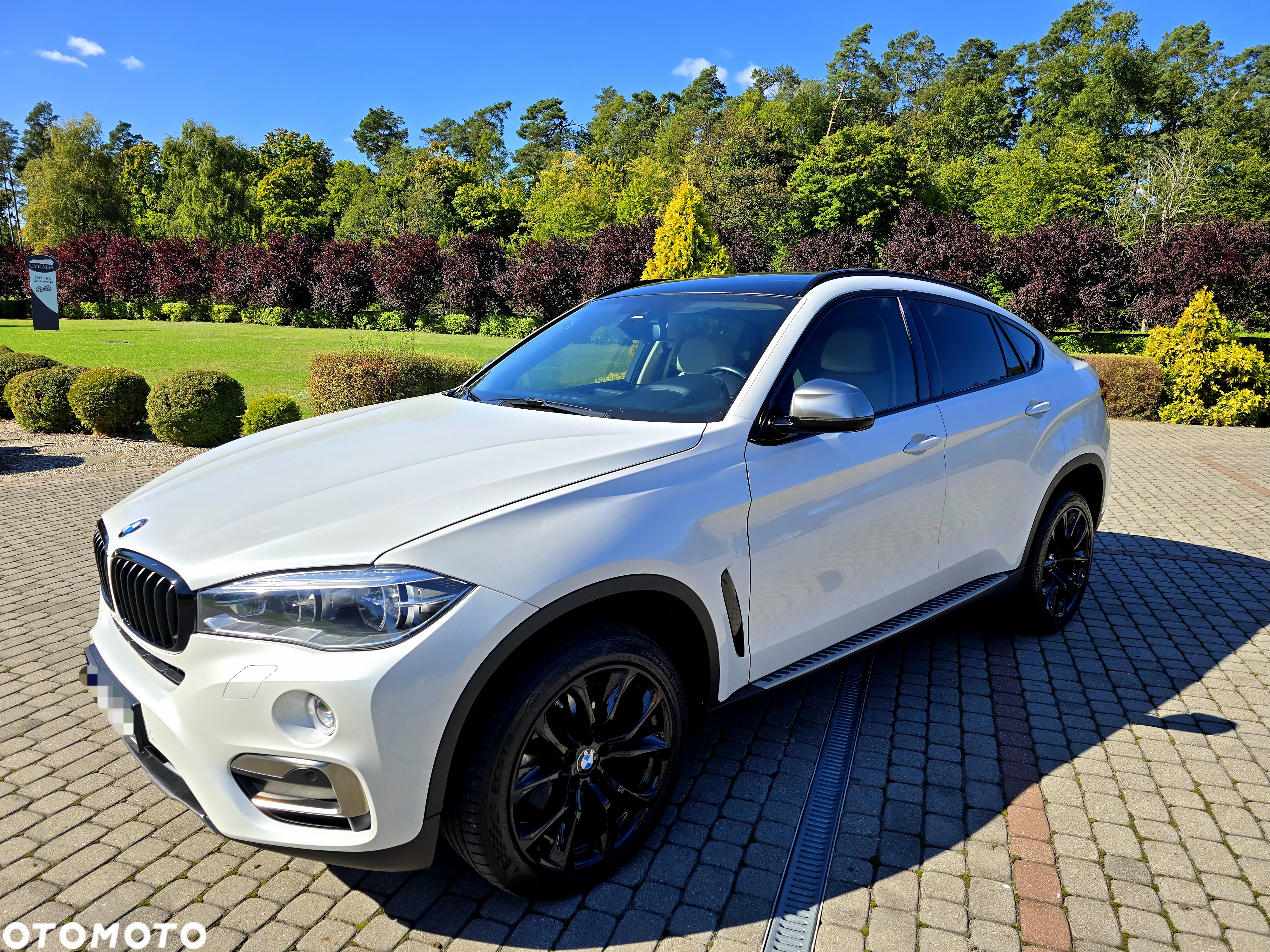 BMW X6 xDrive30d M Sport - 8