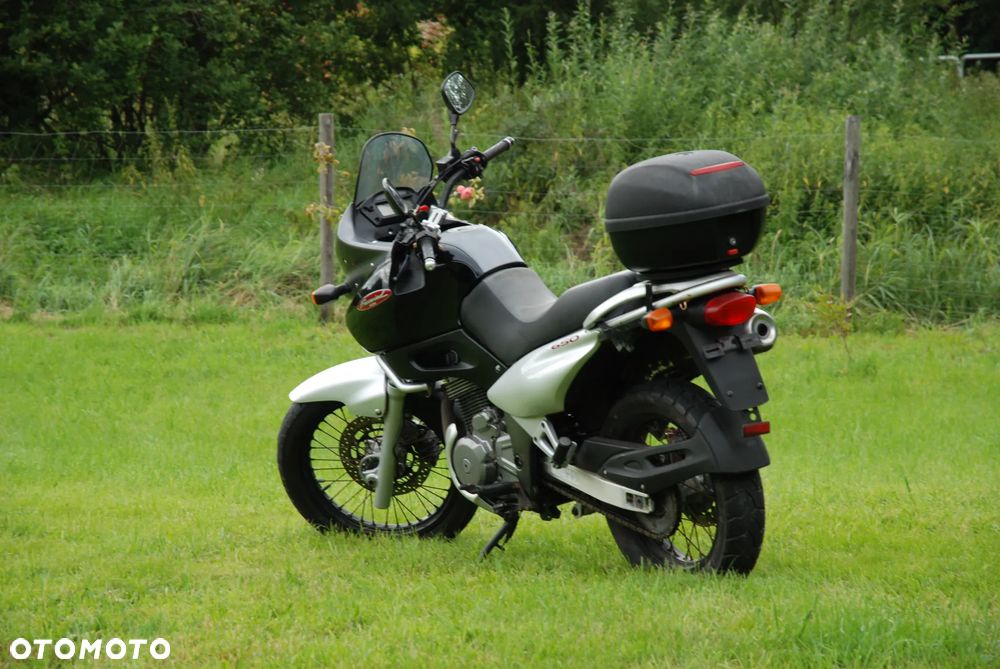 Suzuki XF - 9