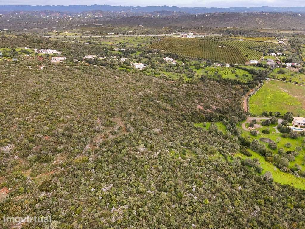 Terreno com 85,640 m2 localizado em Foupana, Olhão, Algarve - Grande imagem: 5/22