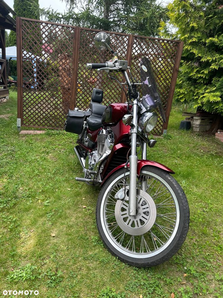 Suzuki Intruder - 9
