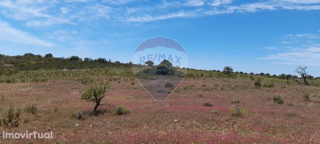 Terreno  para venda - Grande imagem: 3/6