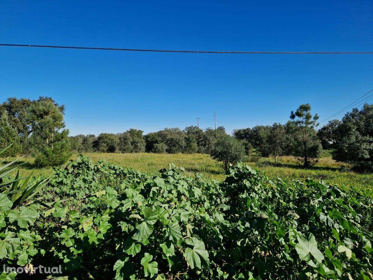 Terreno Padeiras - Grande imagem: 4/8