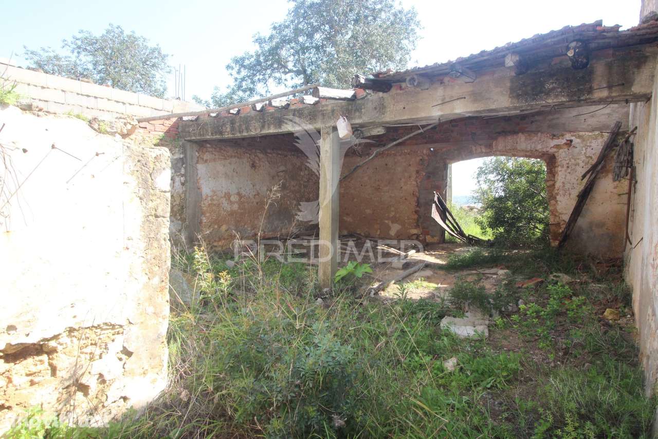 Casa antiga para renovar c/ terreno amplo - Grande imagem: 4/33