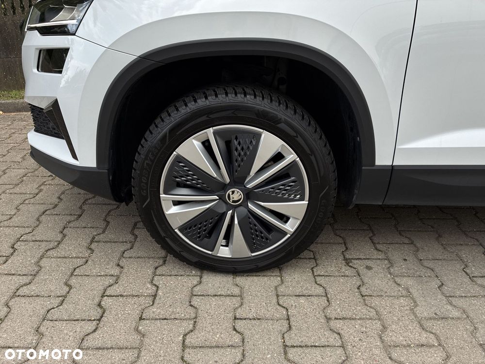 Skoda Karoq - 20