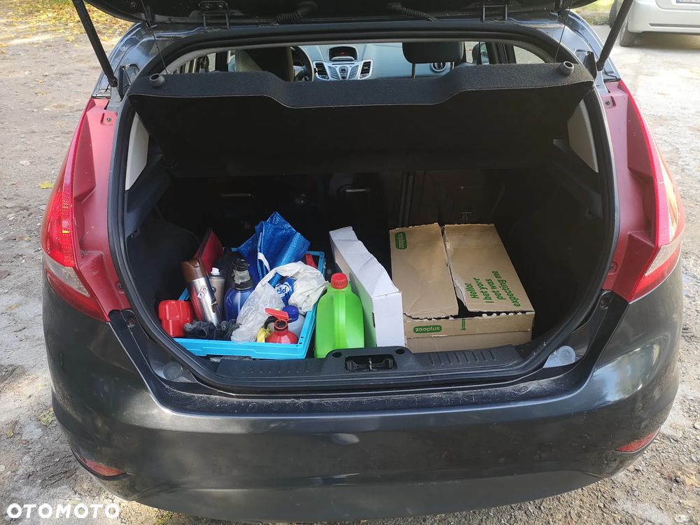 Ford Fiesta - 14
