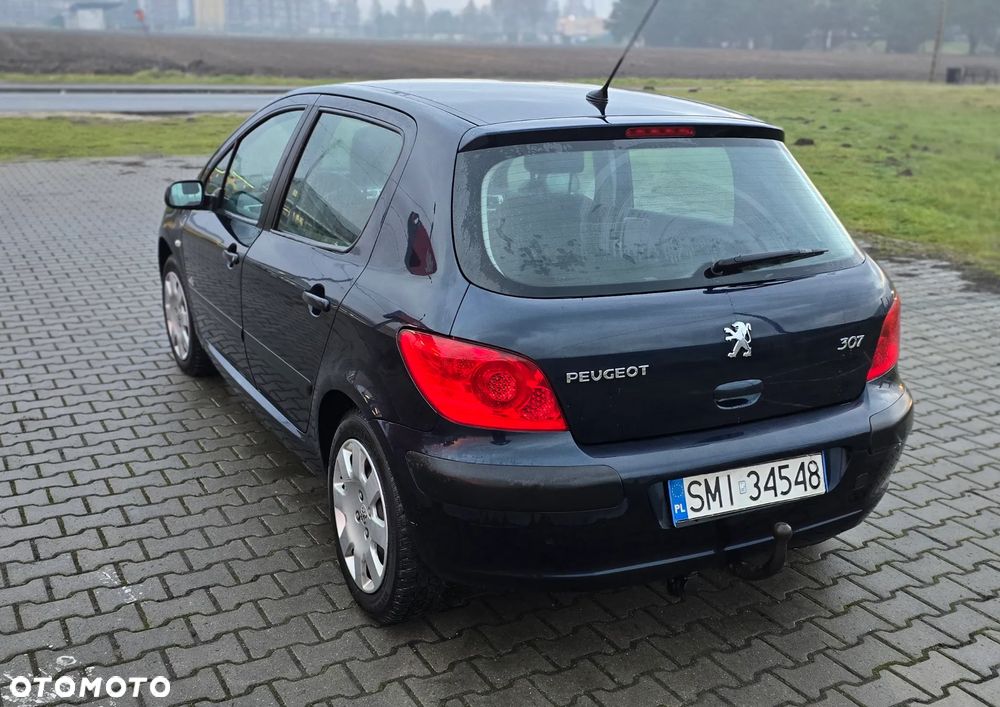 Peugeot 307 - 7