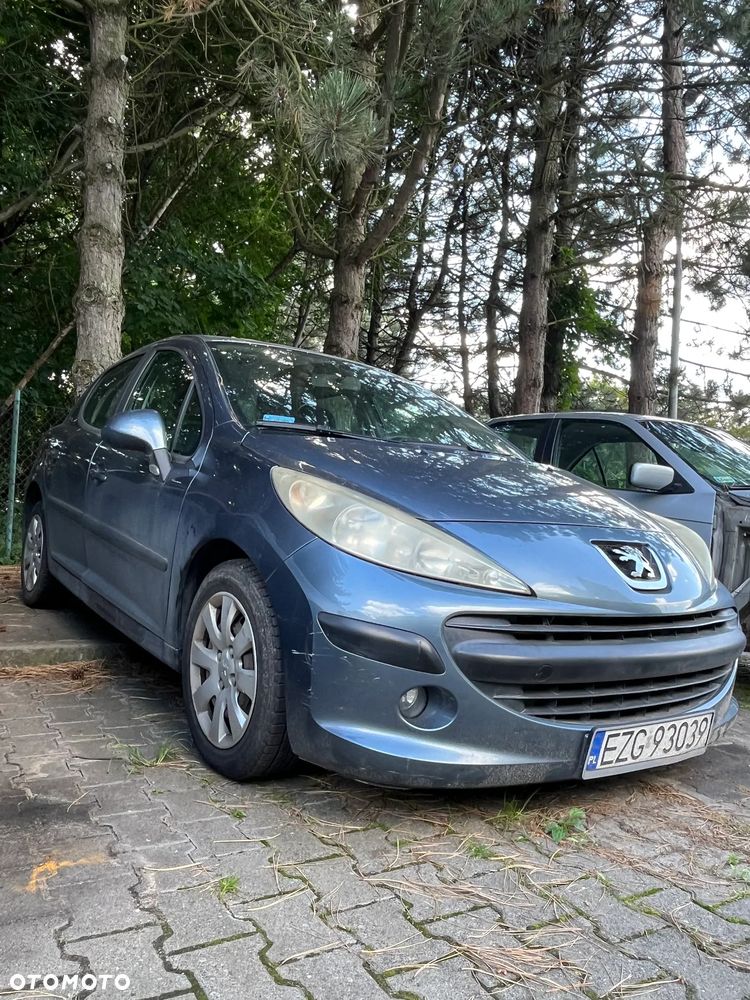 Peugeot 207 - 5