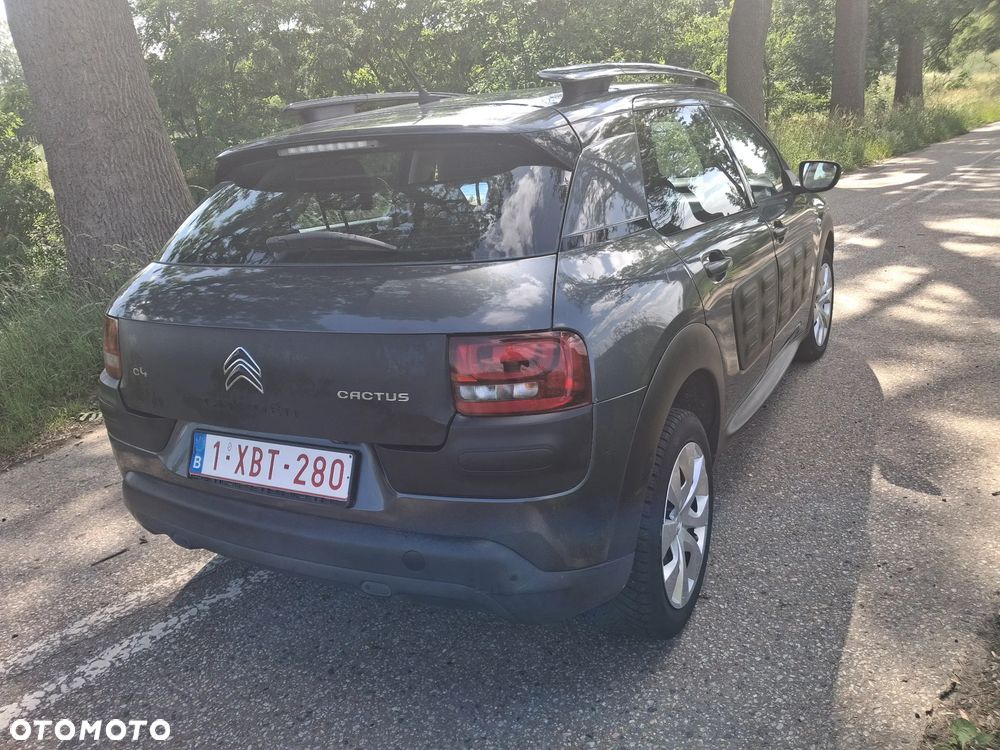 Citroën C4 Cactus PureTech 82 Business Class - 9