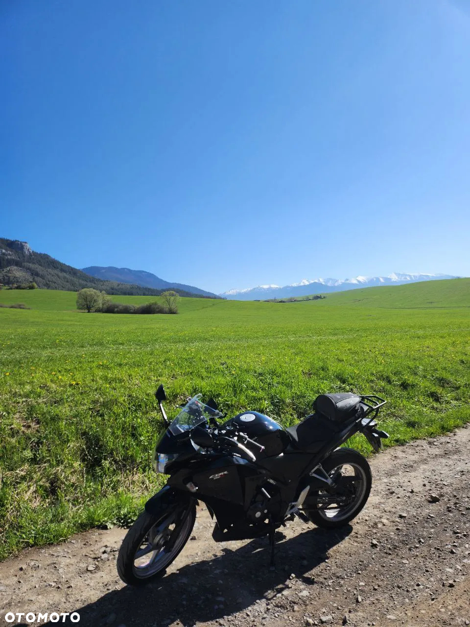 Honda CBR - 17