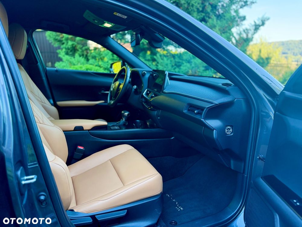 Lexus UX 250h GPF F Sport Design+ 2WD - 12