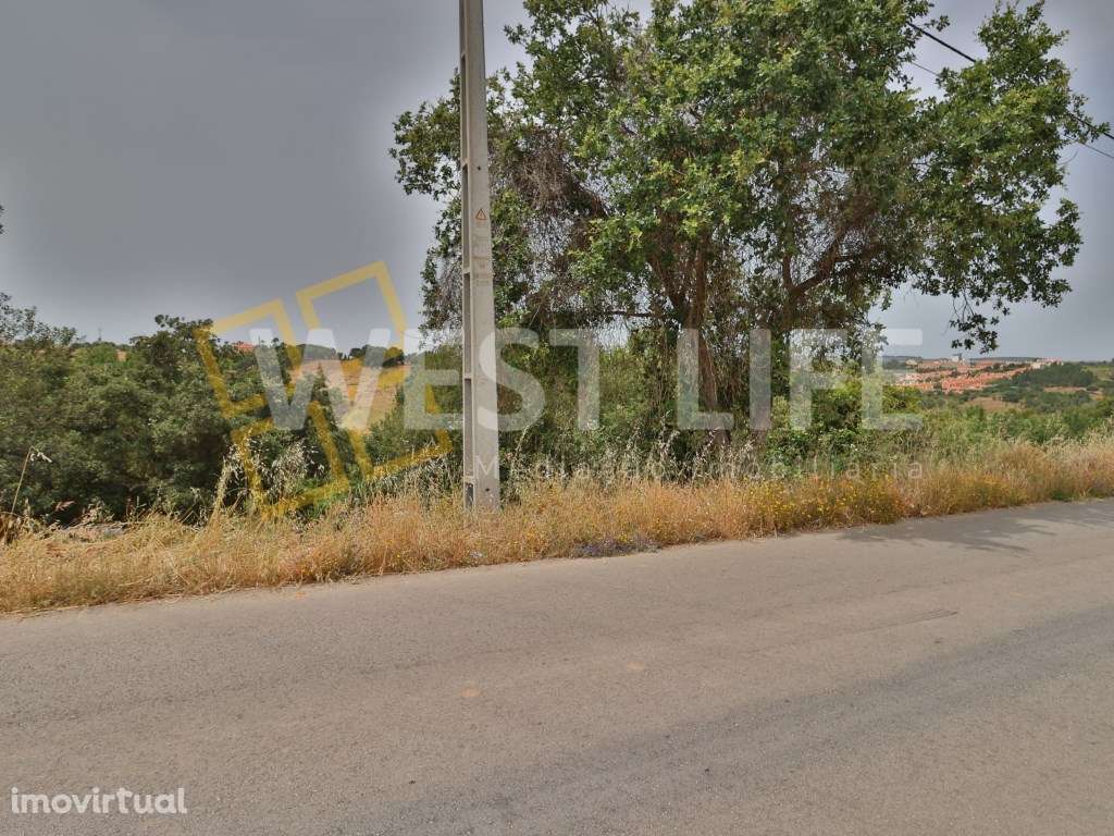 Terreno Rústico/Agroflorestal com 1120m2 - Excelente exposição sola... - Grande imagem: 5/12