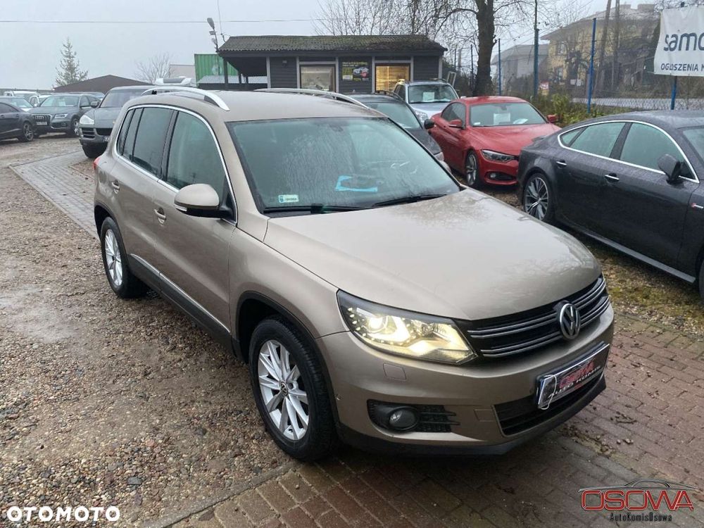 Volkswagen Tiguan - 19