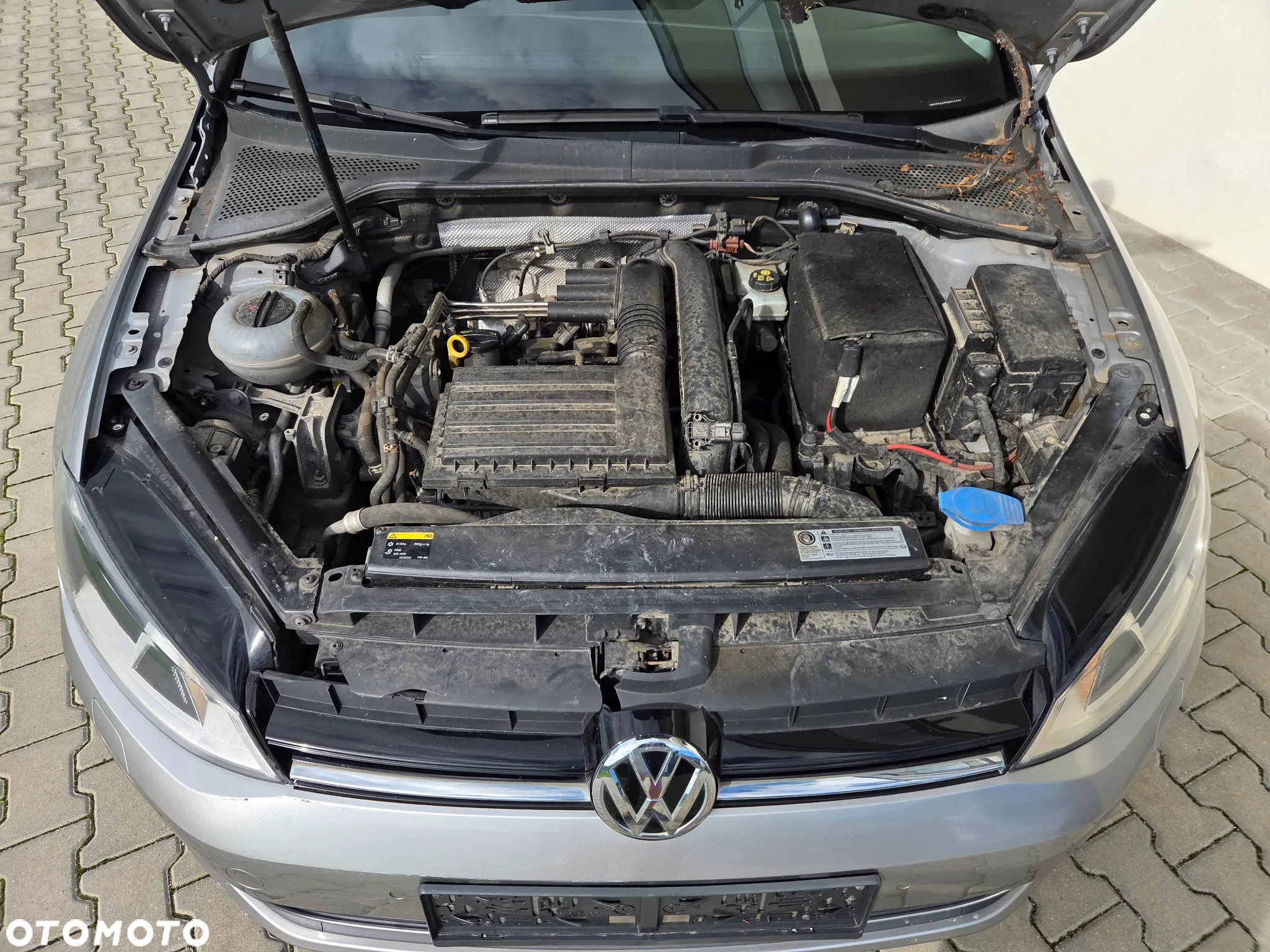 Volkswagen Golf - 18