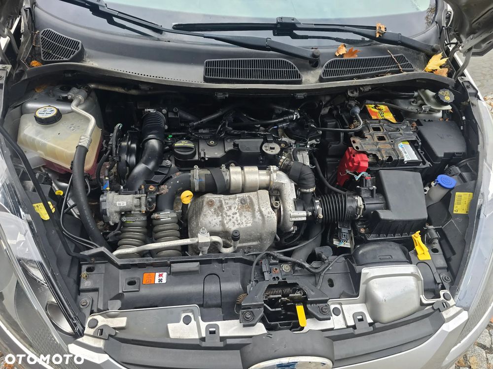 Ford Fiesta - 10