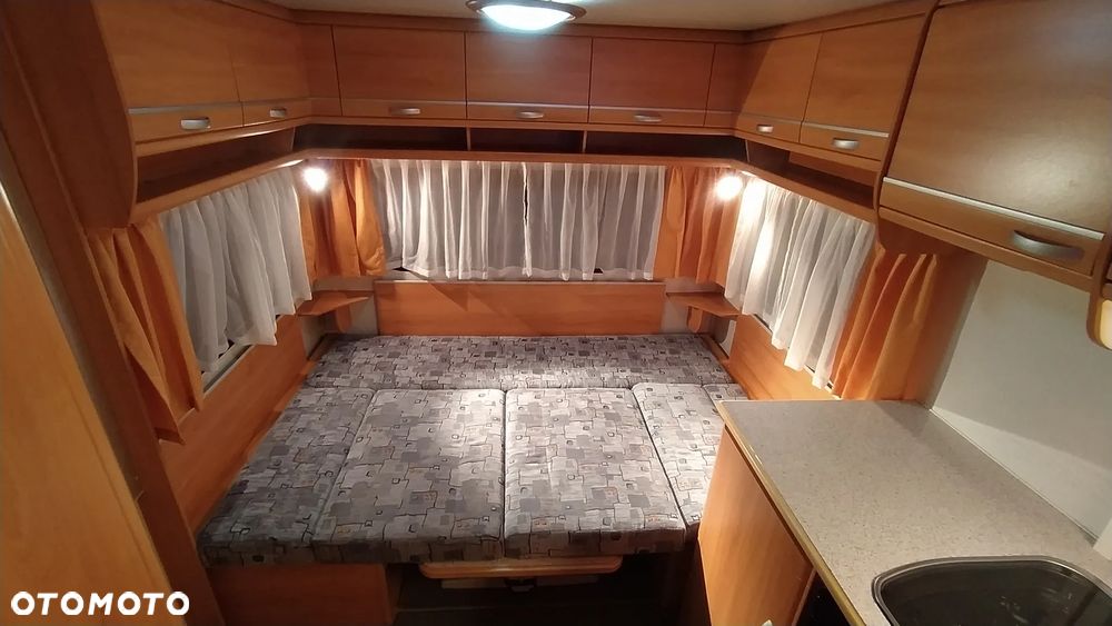 Wilk 490 sport - 31
