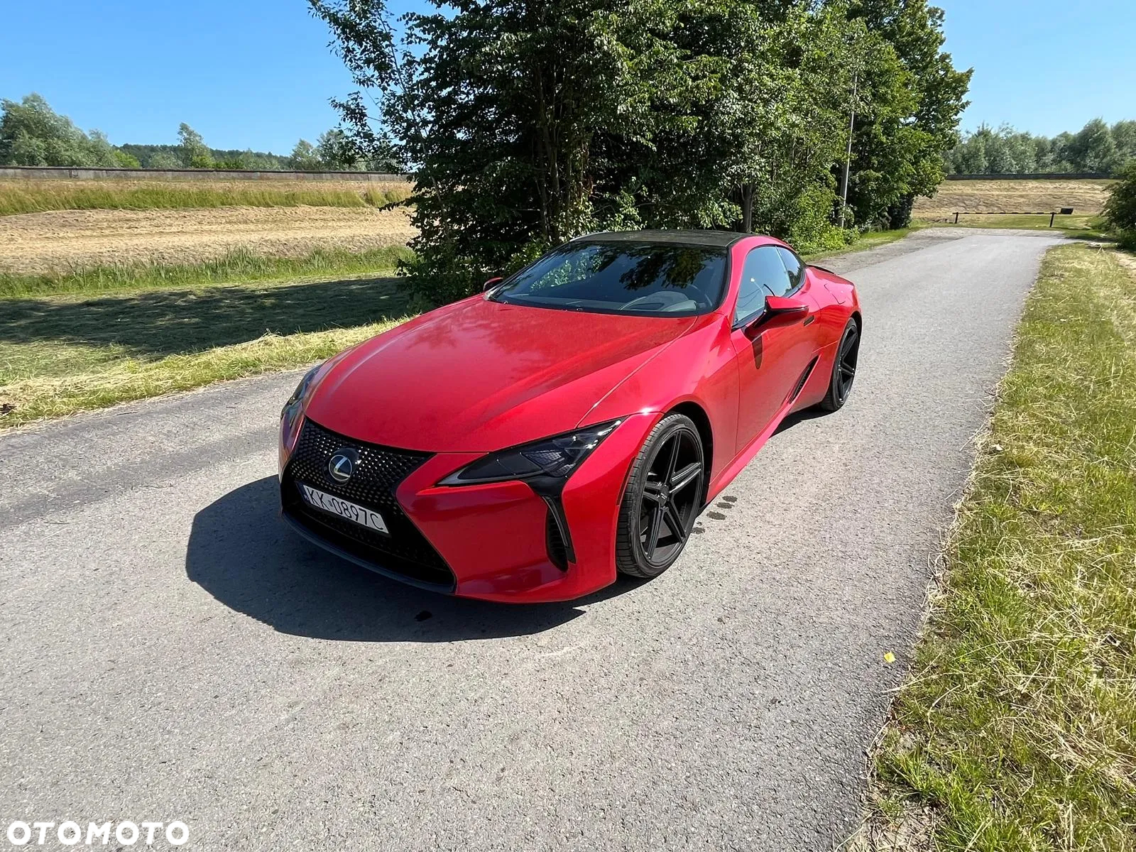 Lexus LC 500 Prestige - 8
