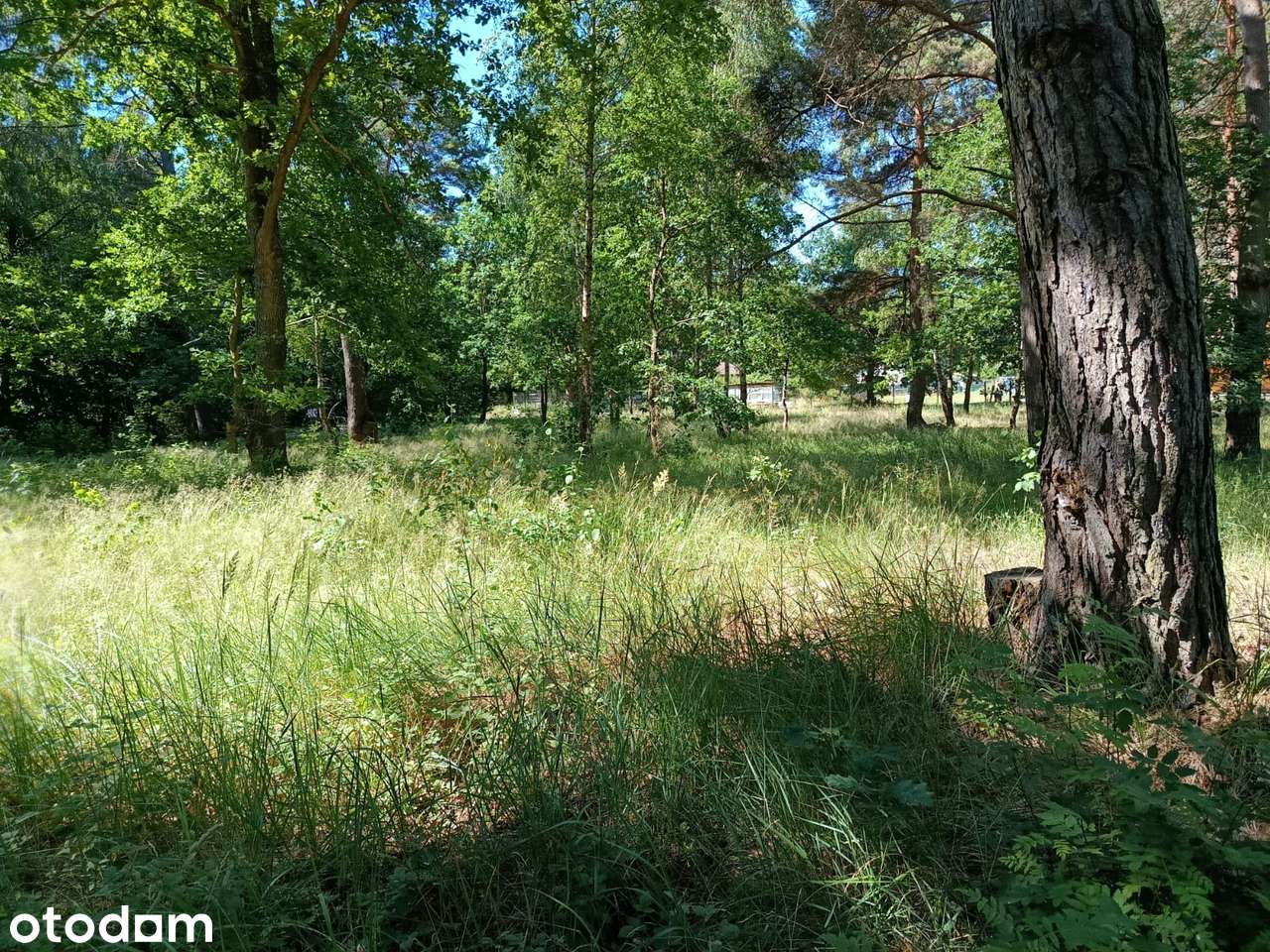 Działka, 861 m², Redliny - Pełny obrazek: 3/7