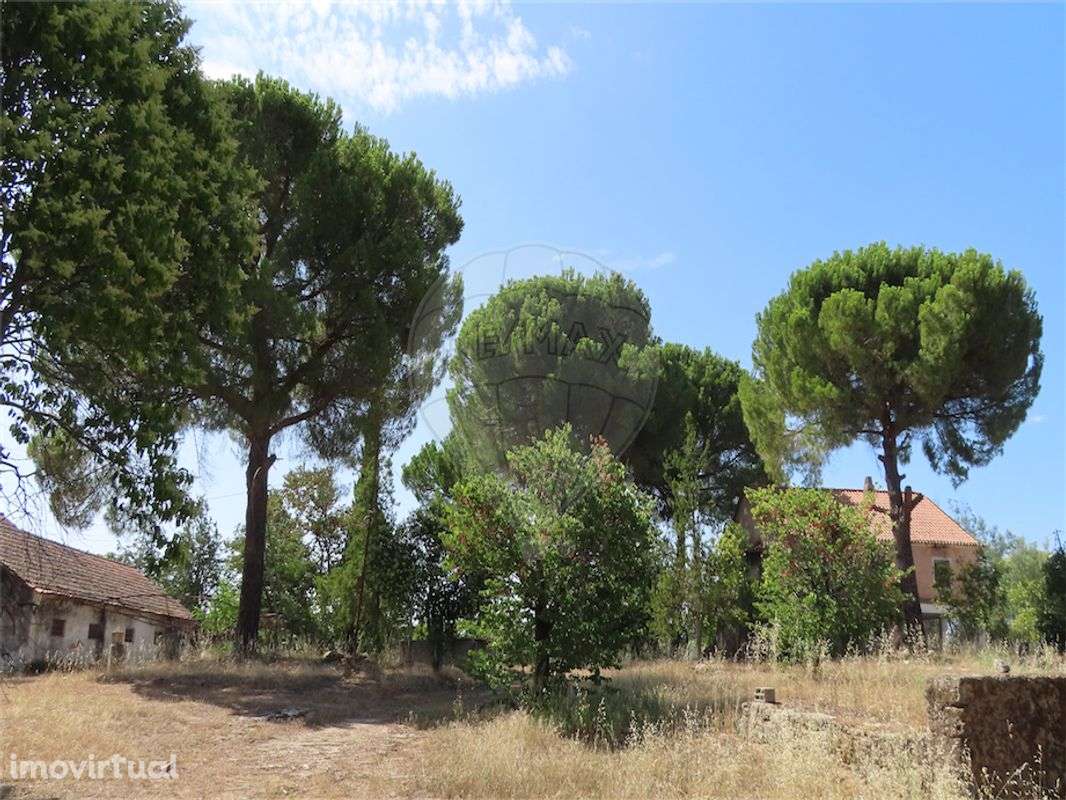 Quinta  para venda - Grande imagem: 3/50