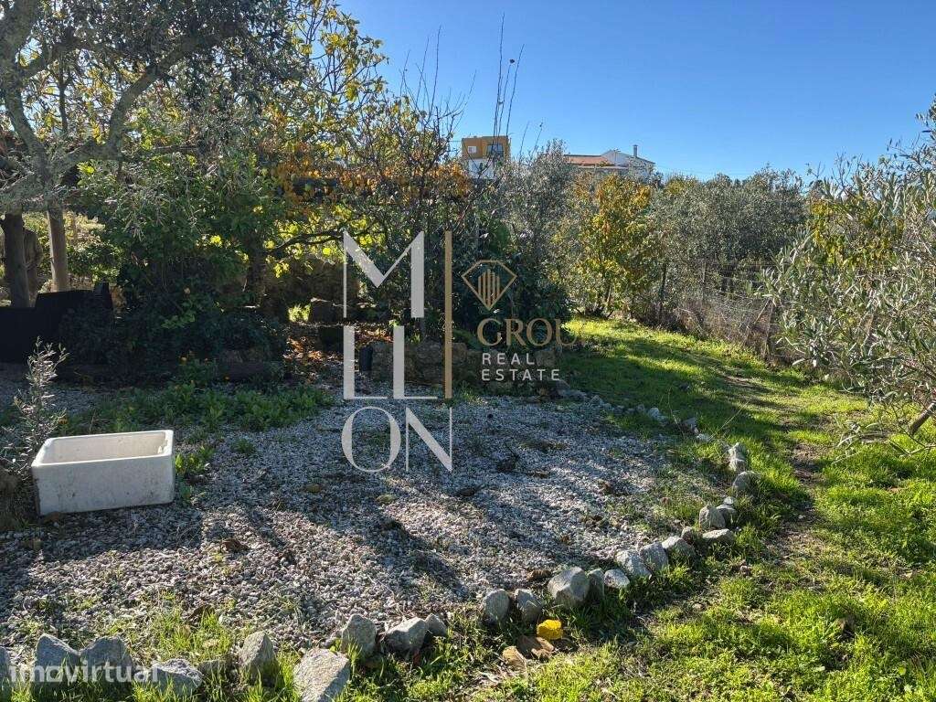 Quinta com casa renovada recentemente - Grande imagem: 4/25