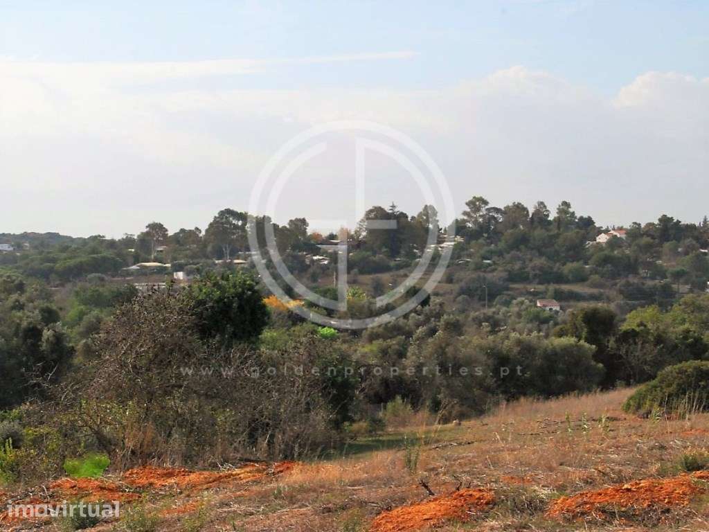 Terreno com projecto aprovado para Turismo Rural, Estômbar - Grande imagem: 3/13
