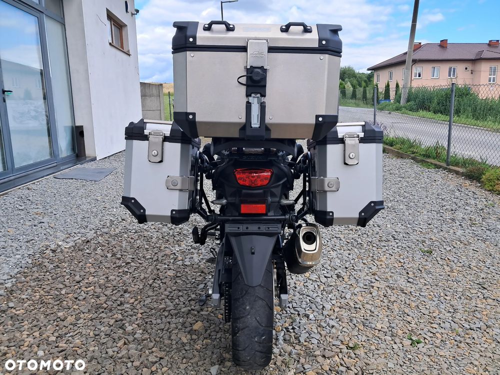 Suzuki DL - 11