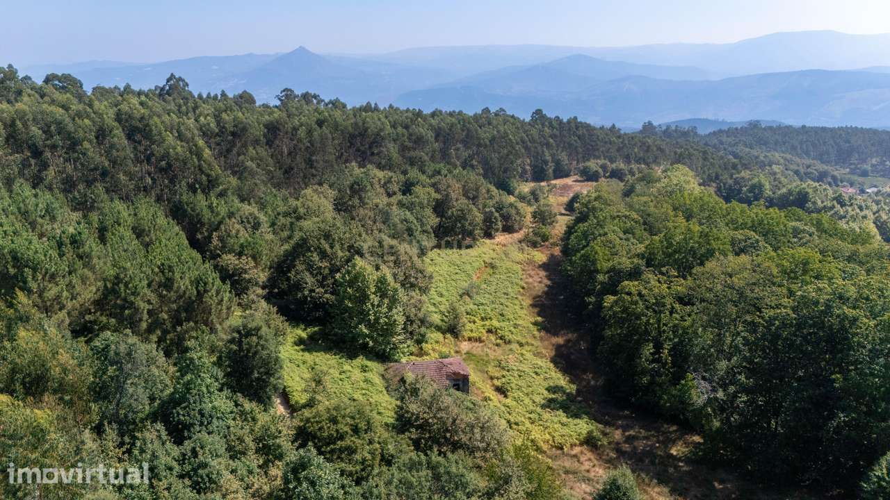 Terreno com Moradia para Reabilitar - Grande imagem: 5/30